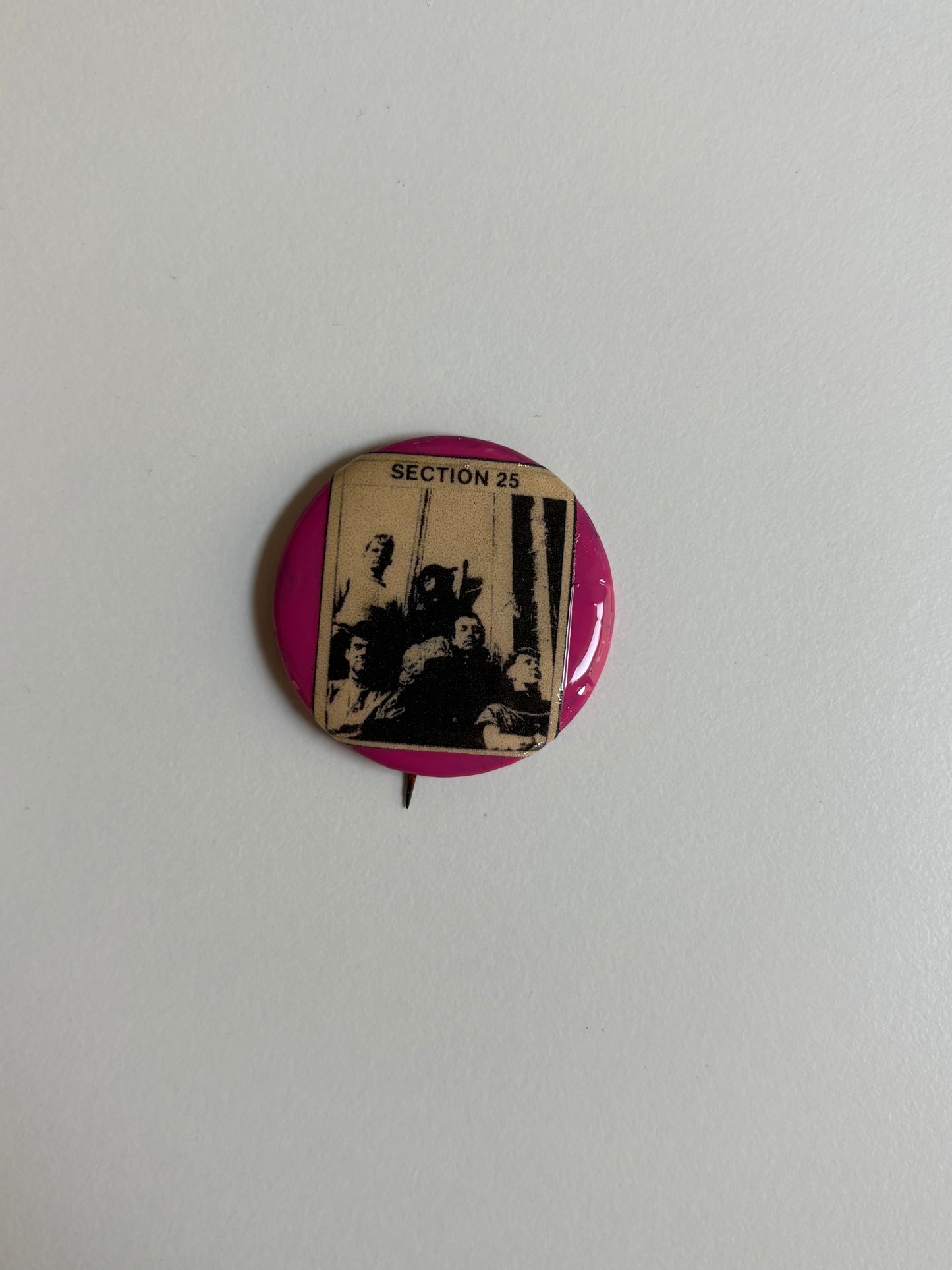Ex Politician Button Section 25 1.5”