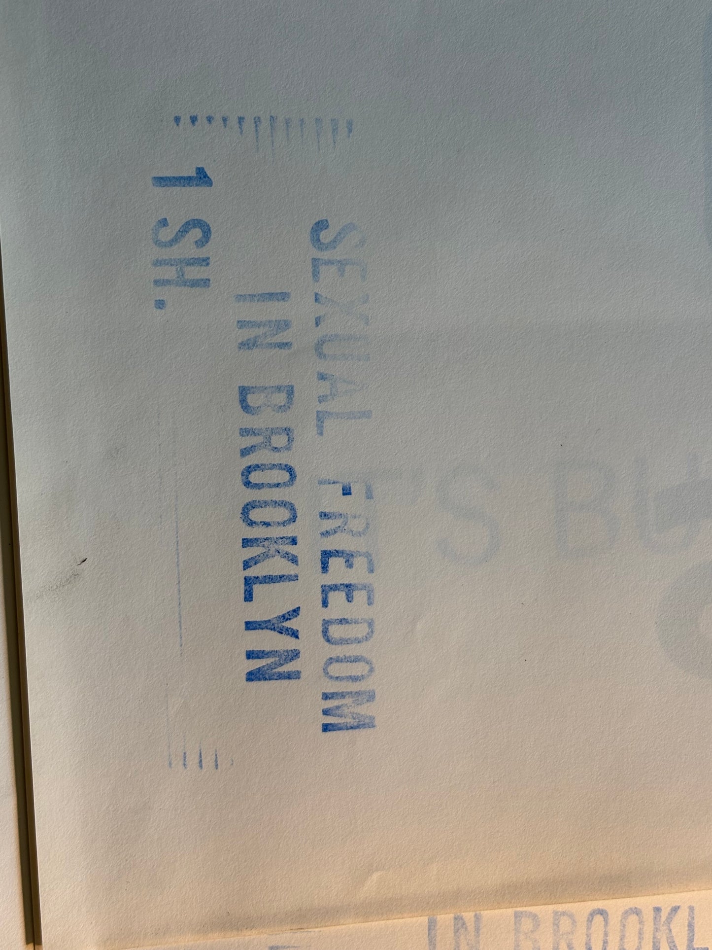 1974 ADULT “Sexual Freedom in Brooklyn” Poster