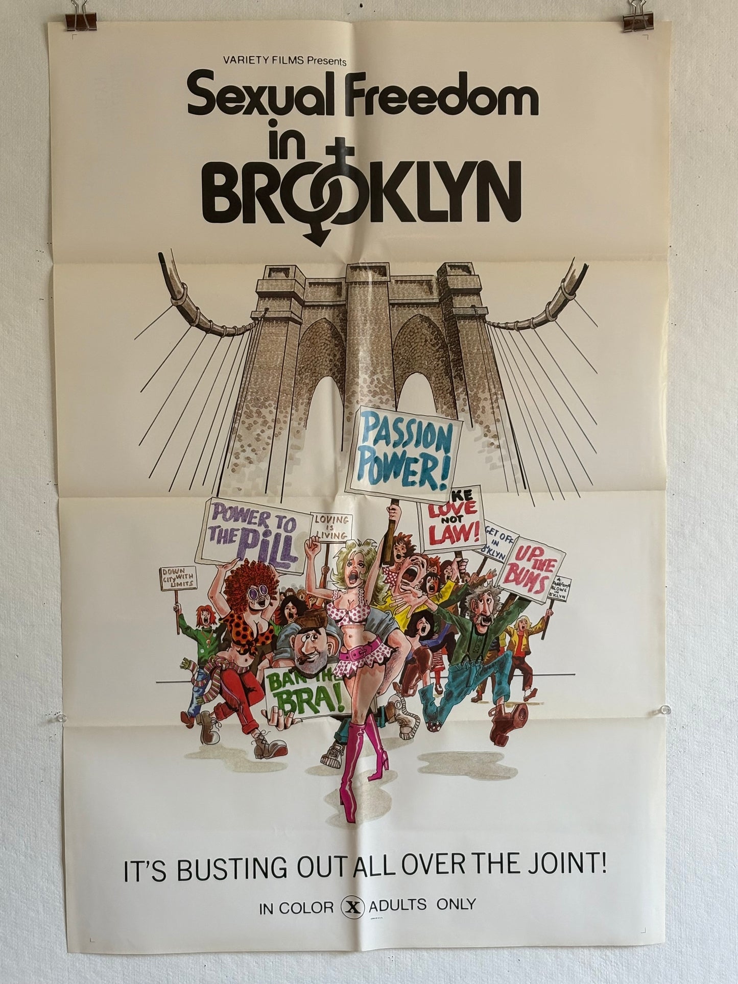 1974 ADULT “Sexual Freedom in Brooklyn” Poster