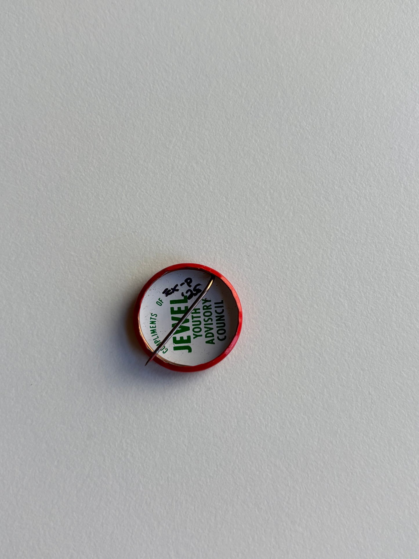 Ex Politician Button X-Ray Spex .75”