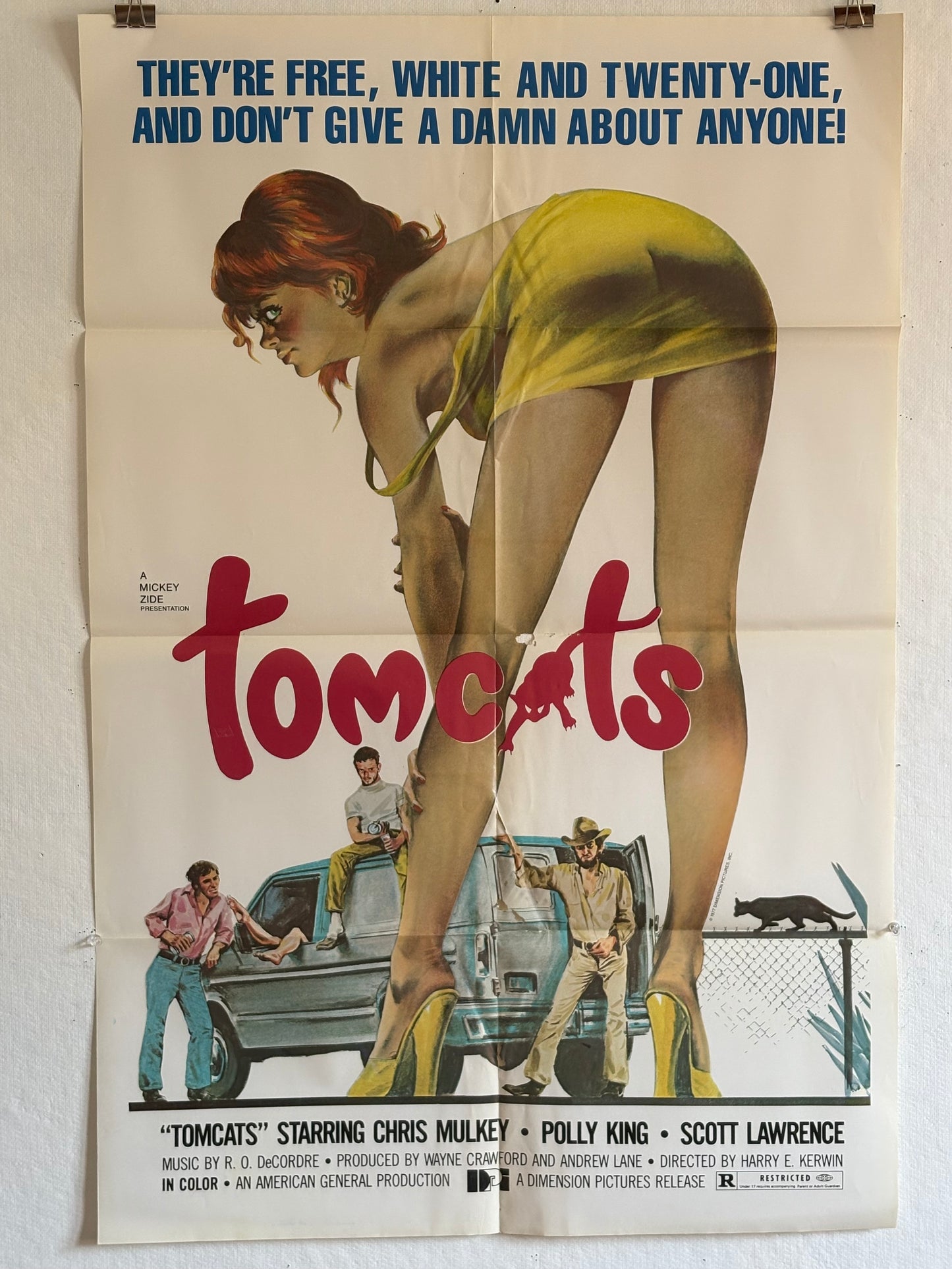 1977 EXPLOITATION “Tomcats” Poster