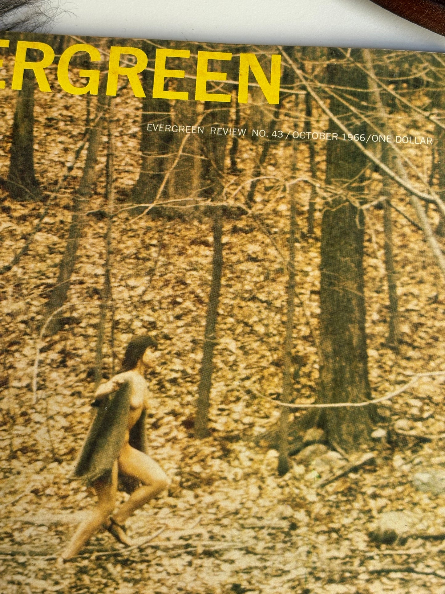 Evergreen Magazine No. 43 1966