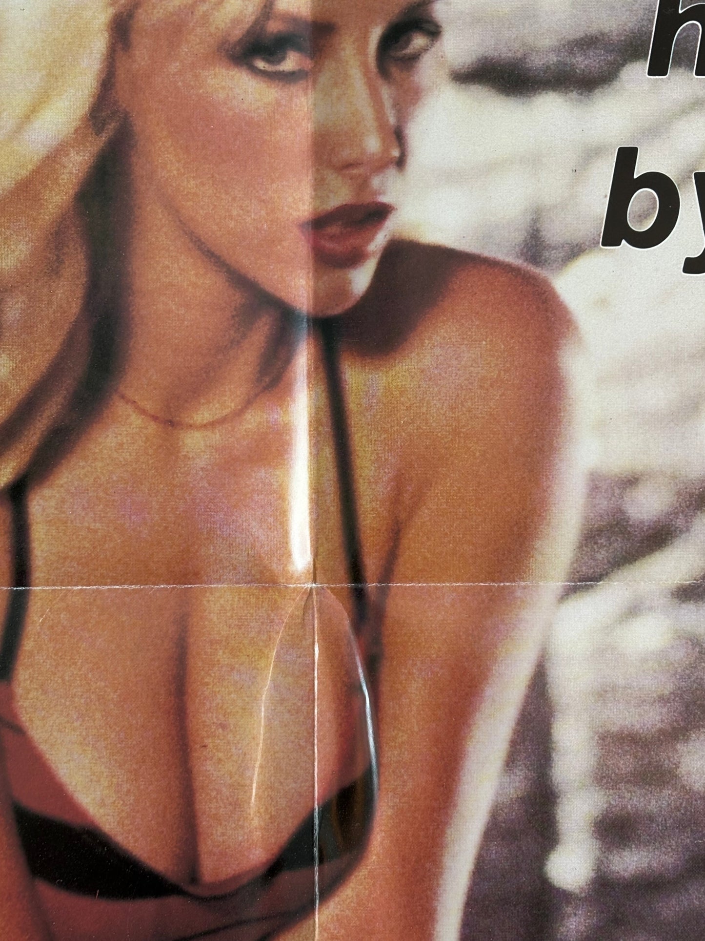 1983 ADULT “Working it Out” Poster