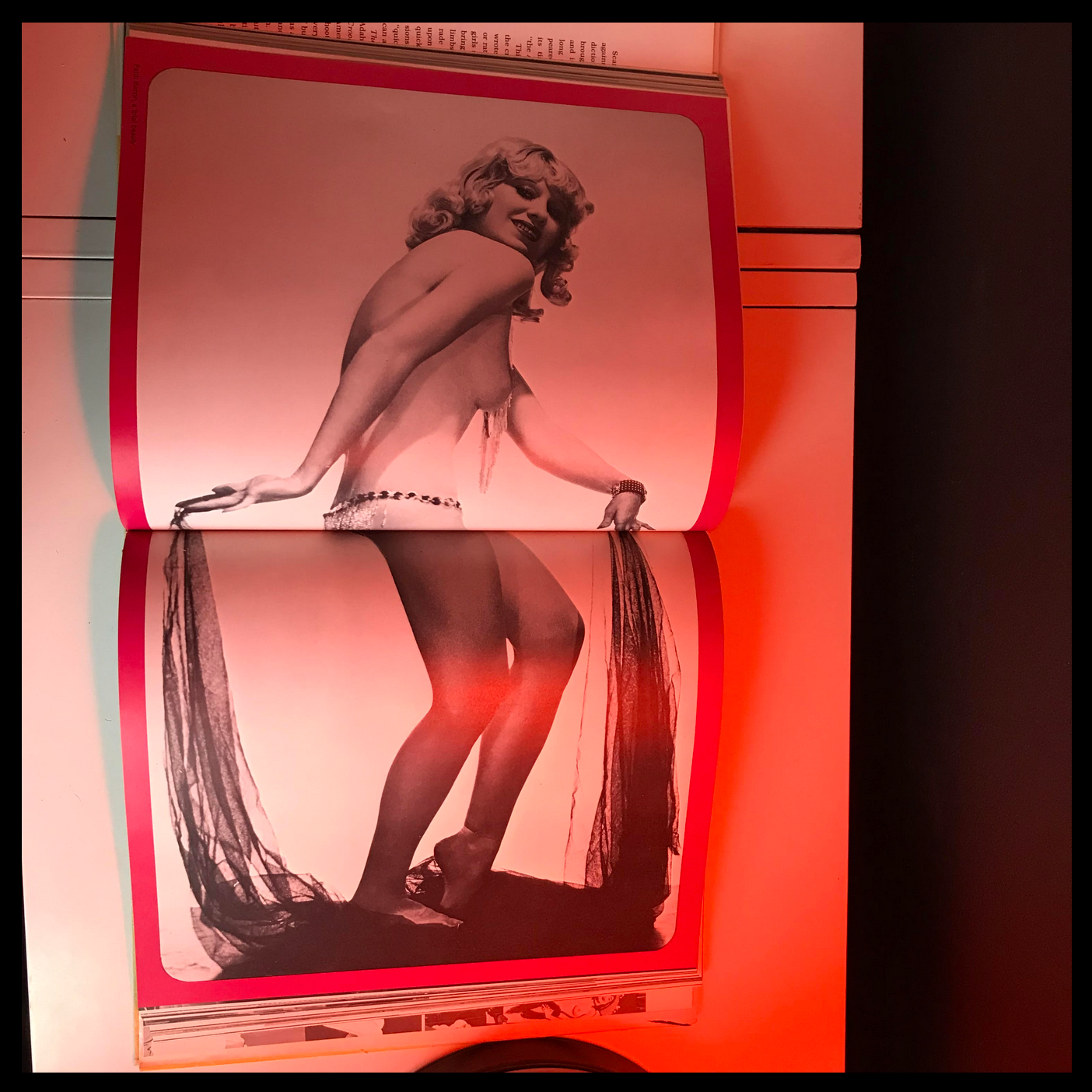 This Was Burlesque Book