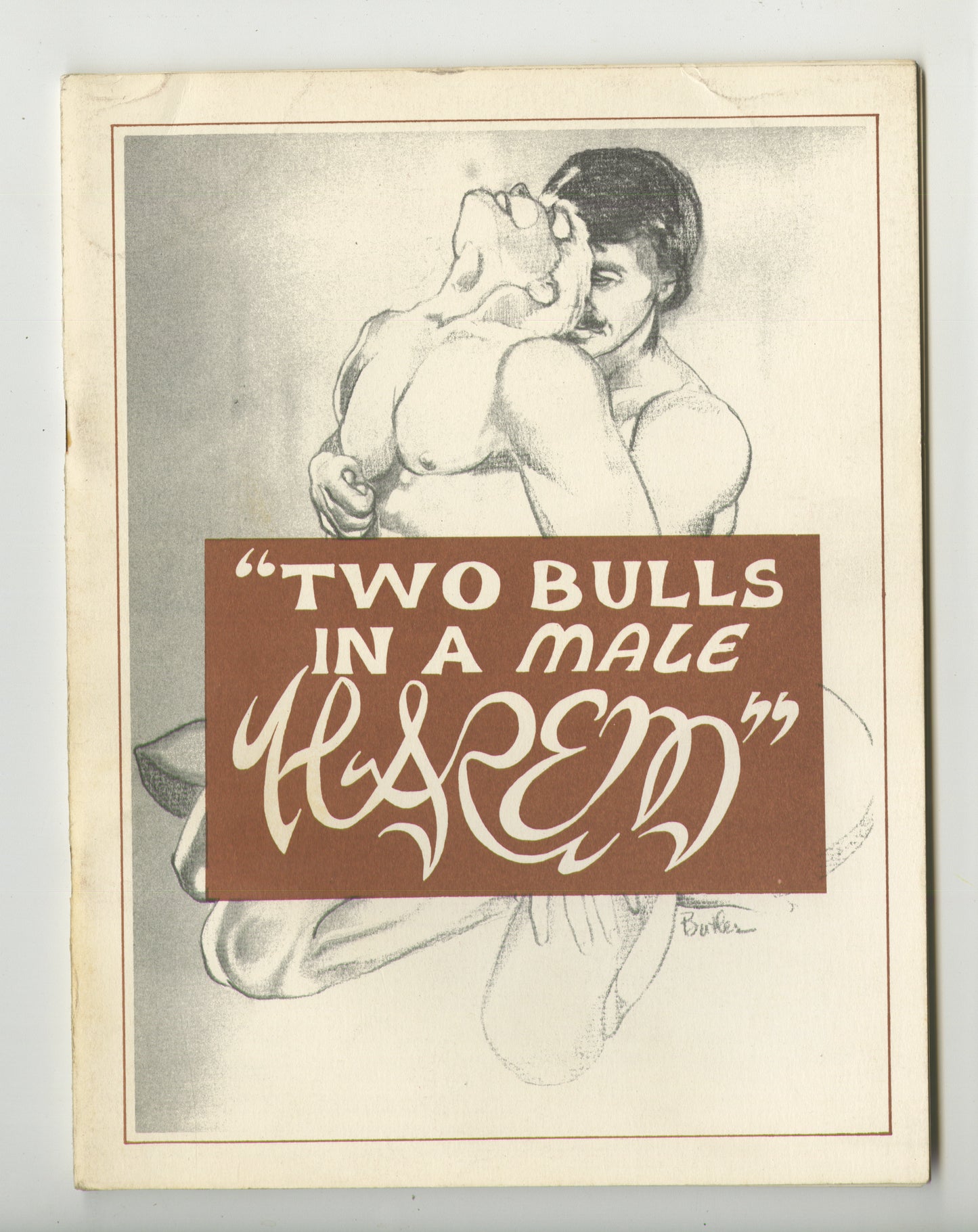 1976 Two Bulls In a Male Harem by Robert Fraum