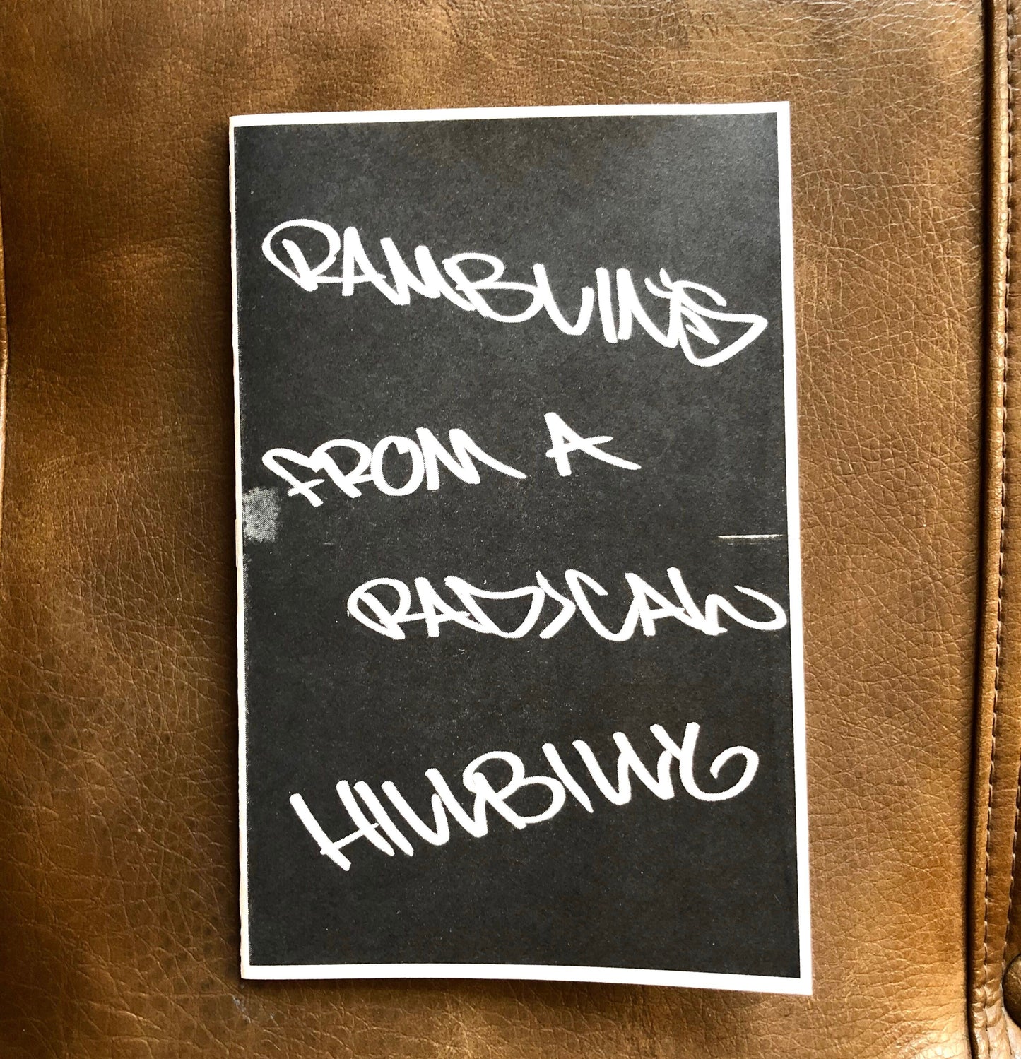 Ramblins From a Radical Hillbilly by Cameron R.