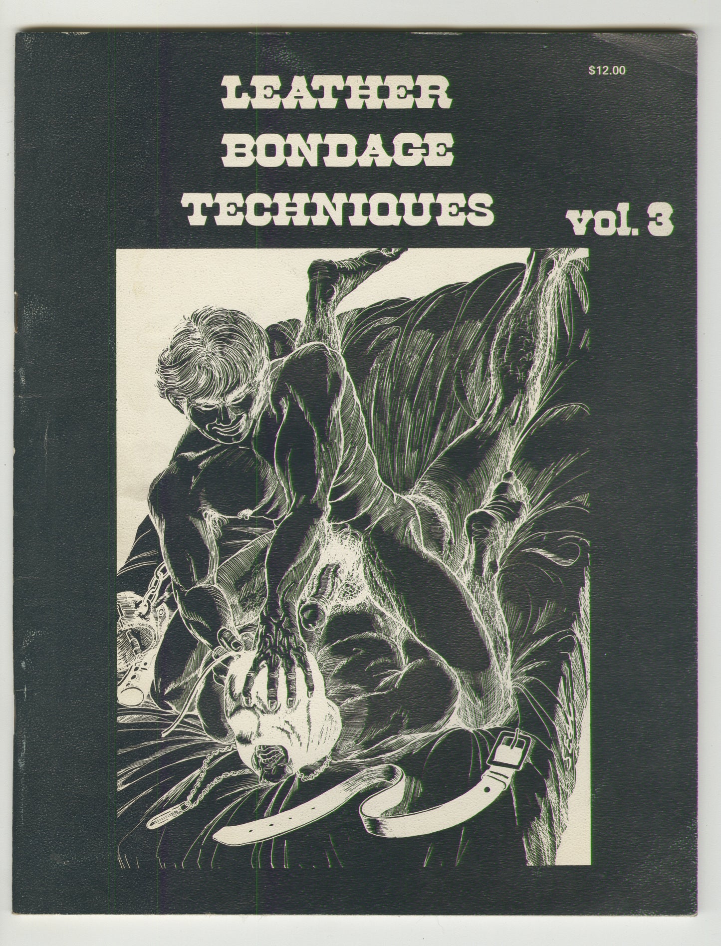 Leather Bondage Techniques, Vol. 3