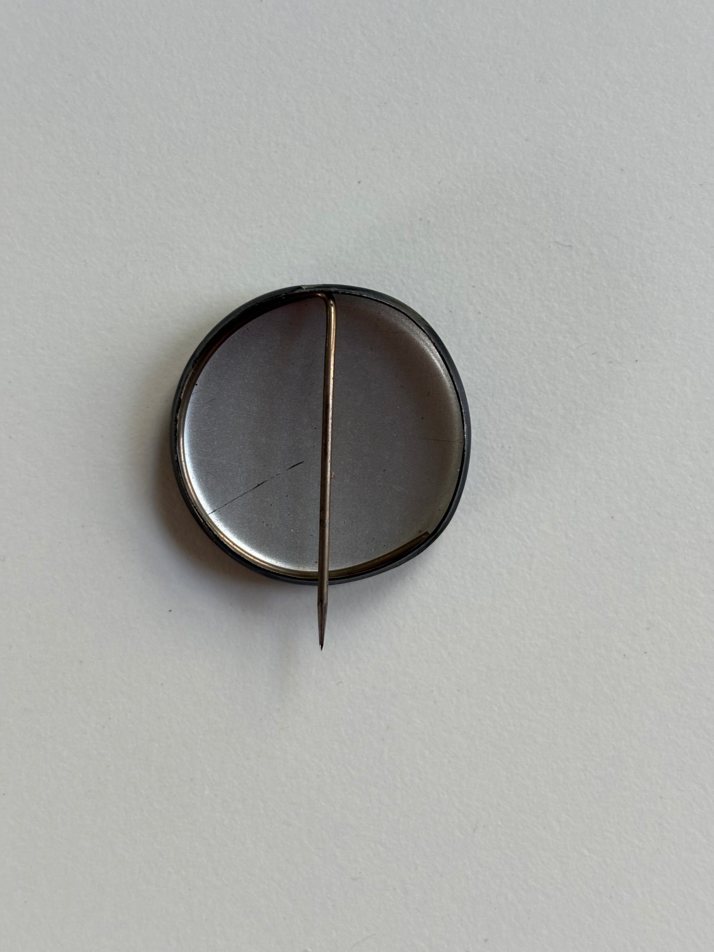 Ex Politician Button Honey Bane 1.25”