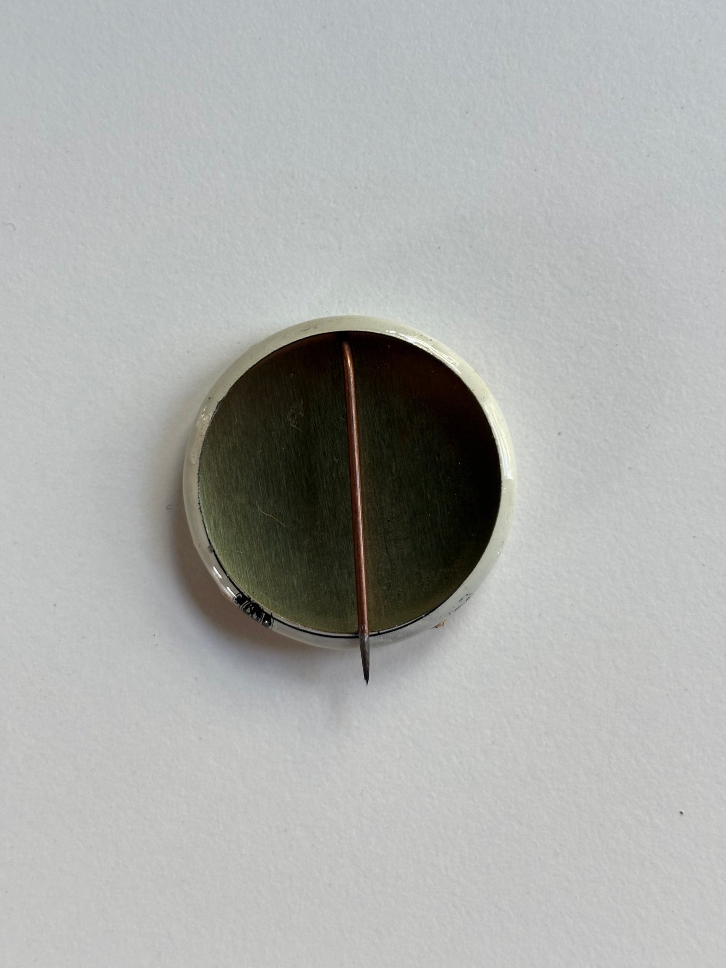 Ex Politician Button The Scientists 1.125”