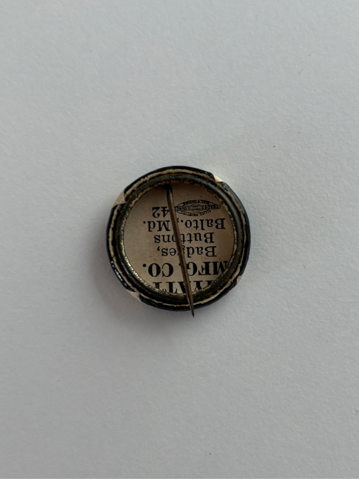 Ex Politician Button The Novels .75”