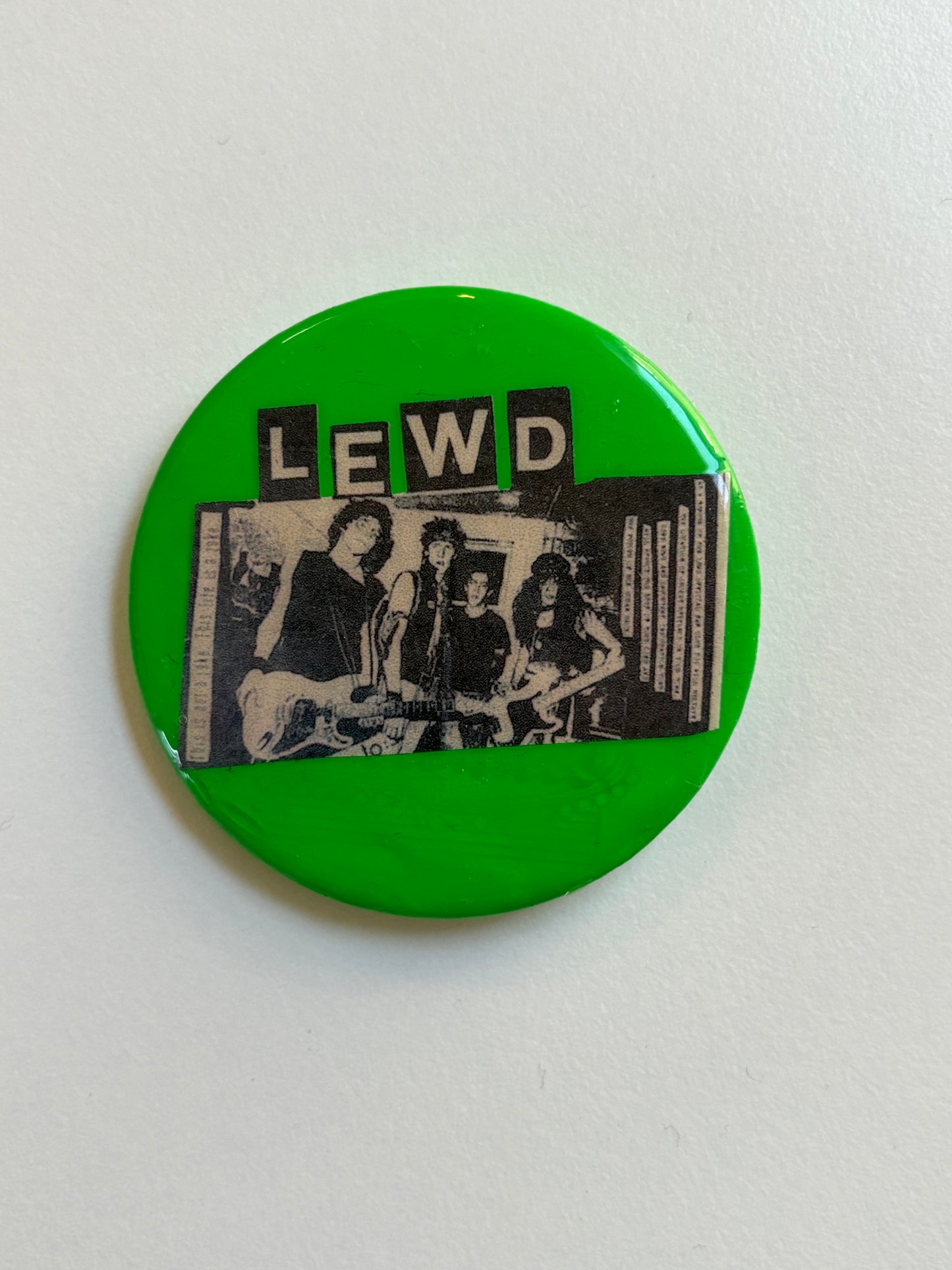 Ex Politician Button The Lewd 2.25”
