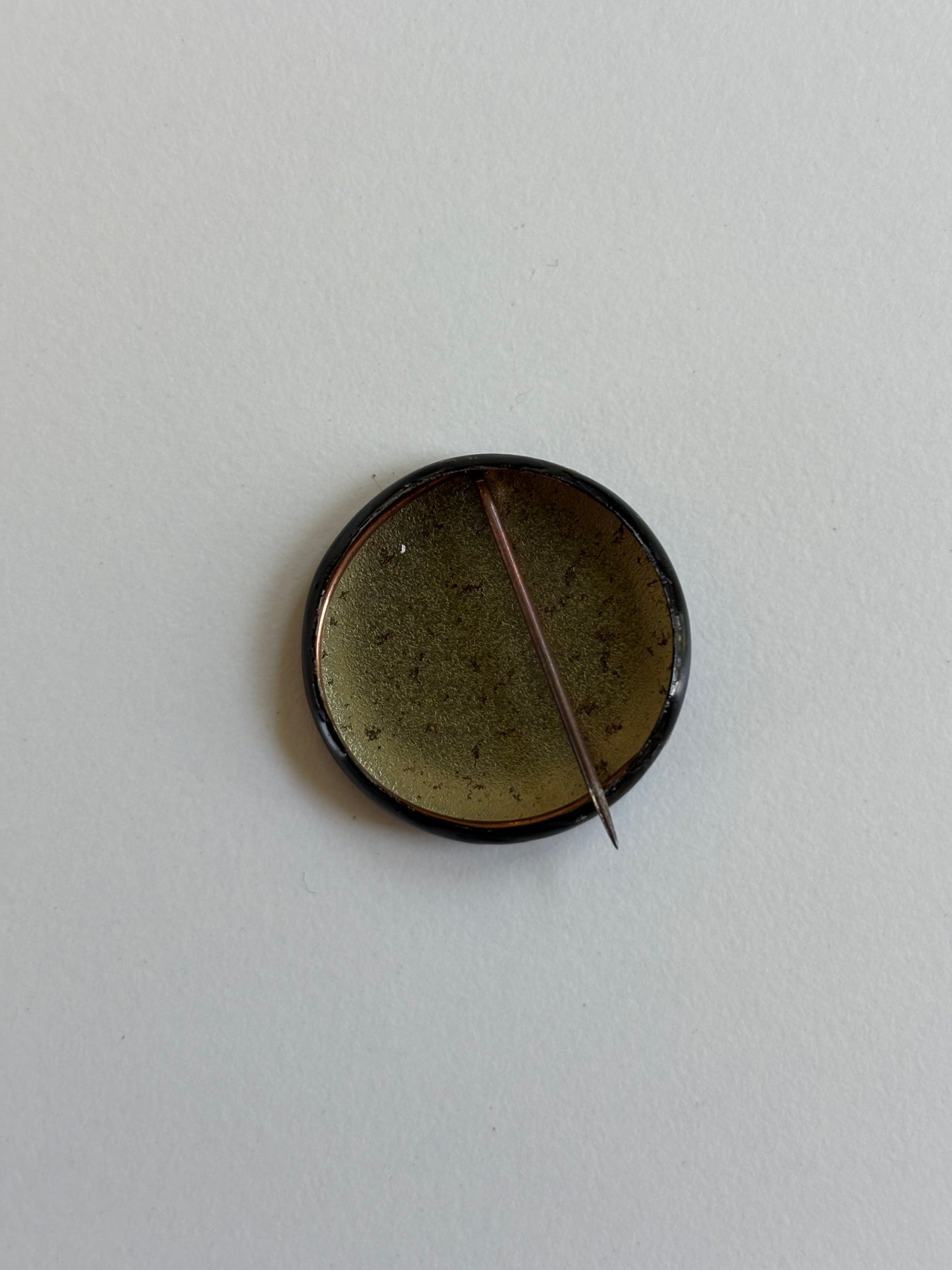 Ex Politician Button The Runaways 1.125”