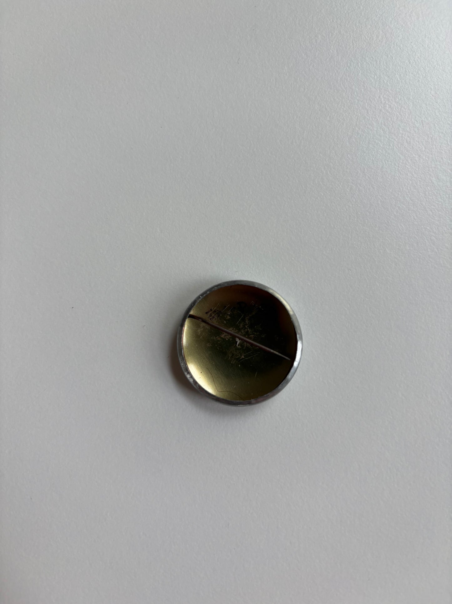 Ex Politician Button The Kids 1”