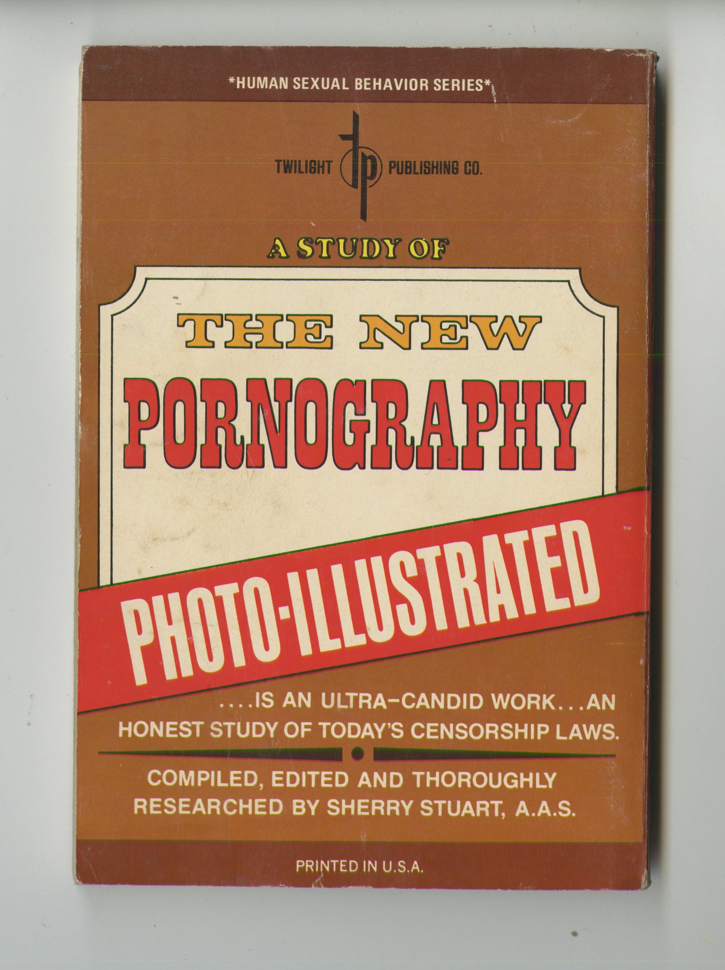 A Study of the New Pornography