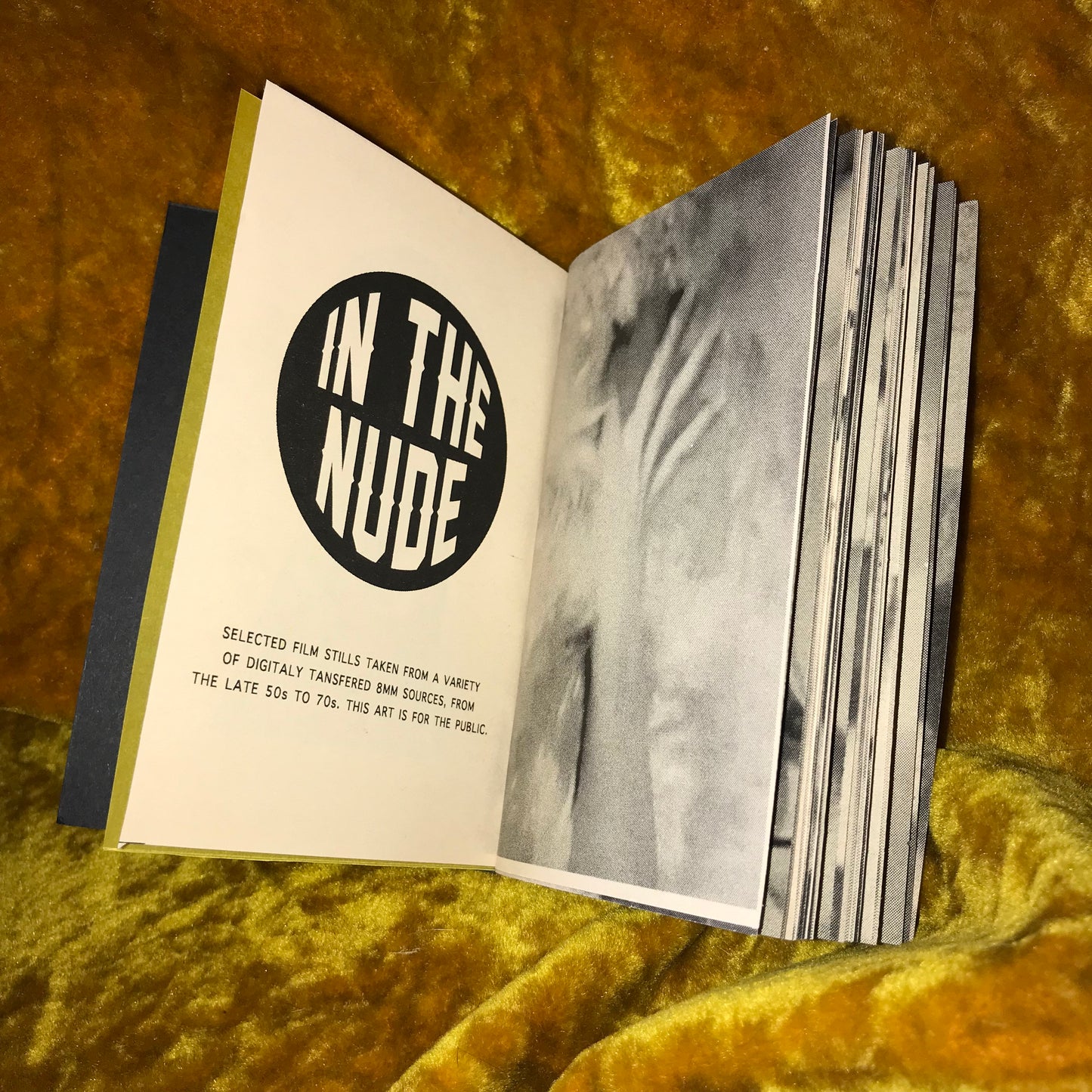 In The Nude #2 Softcover Edition by Lauren Barbour