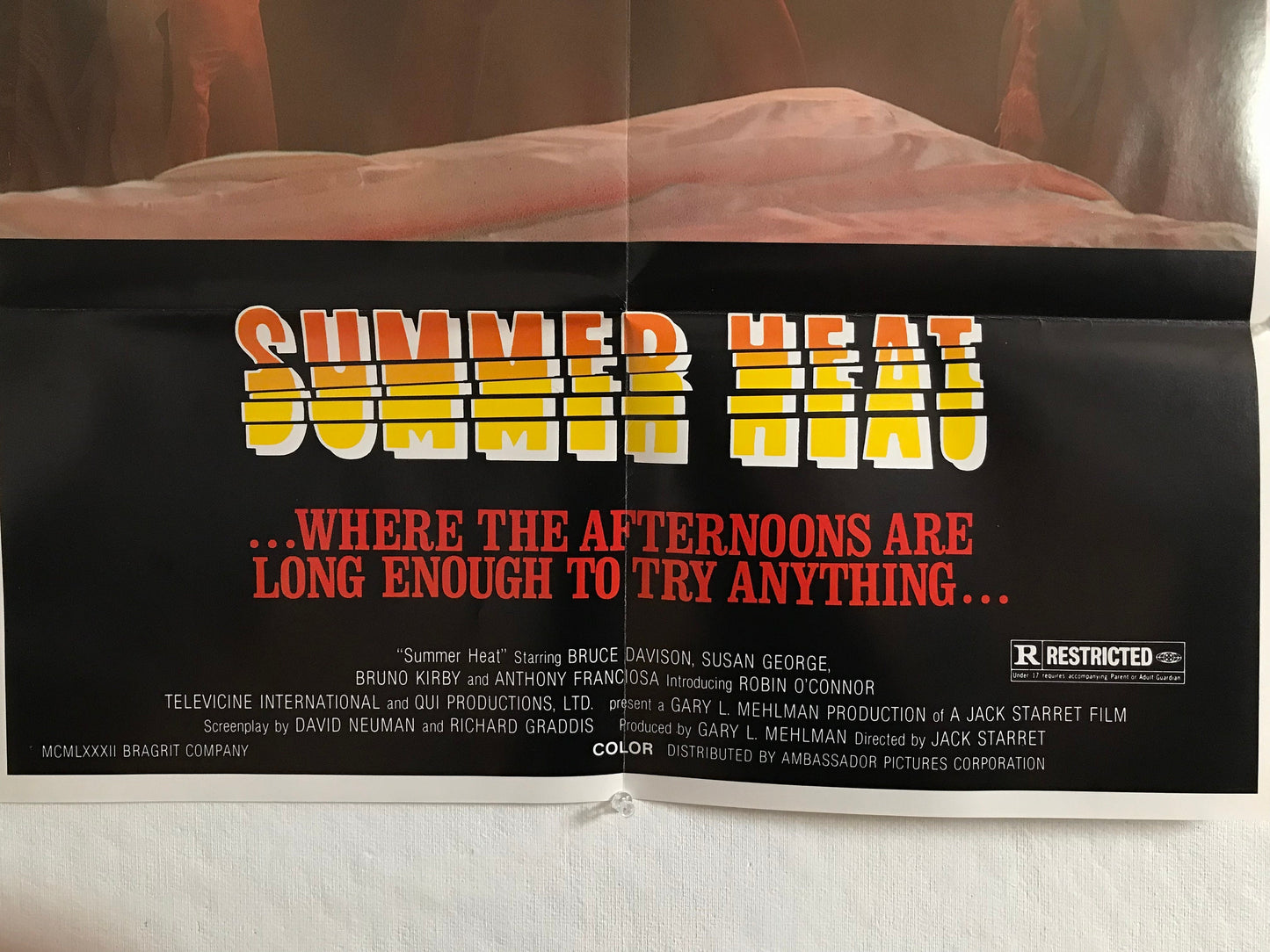 1982 ADULT “Summer Heat” Original Poster