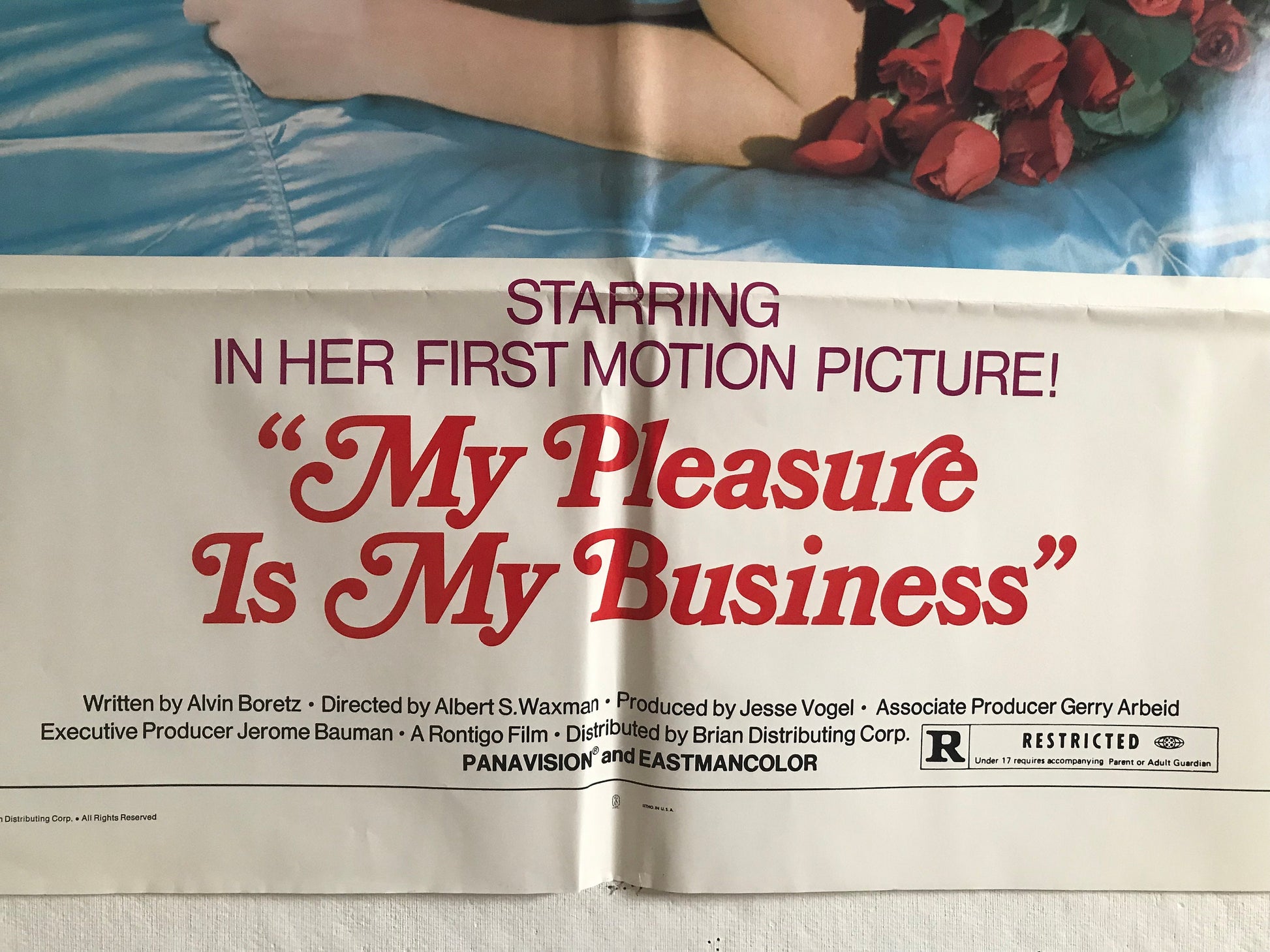 1974 ADULT Movie Poster “My Pleasure Is My Business”