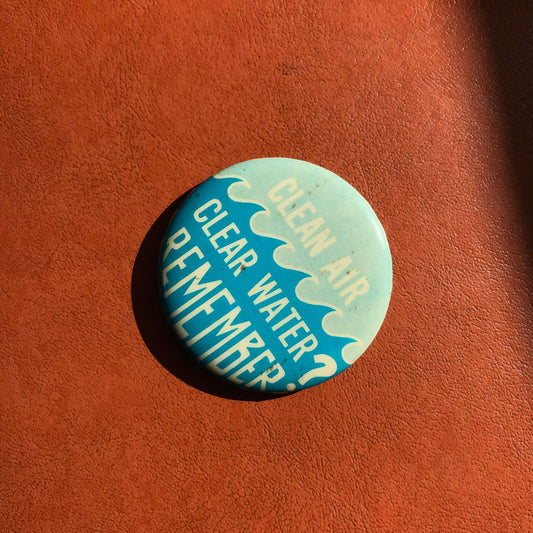 Vintage "Clean Air Clean Water, Remember?" Pinback Button