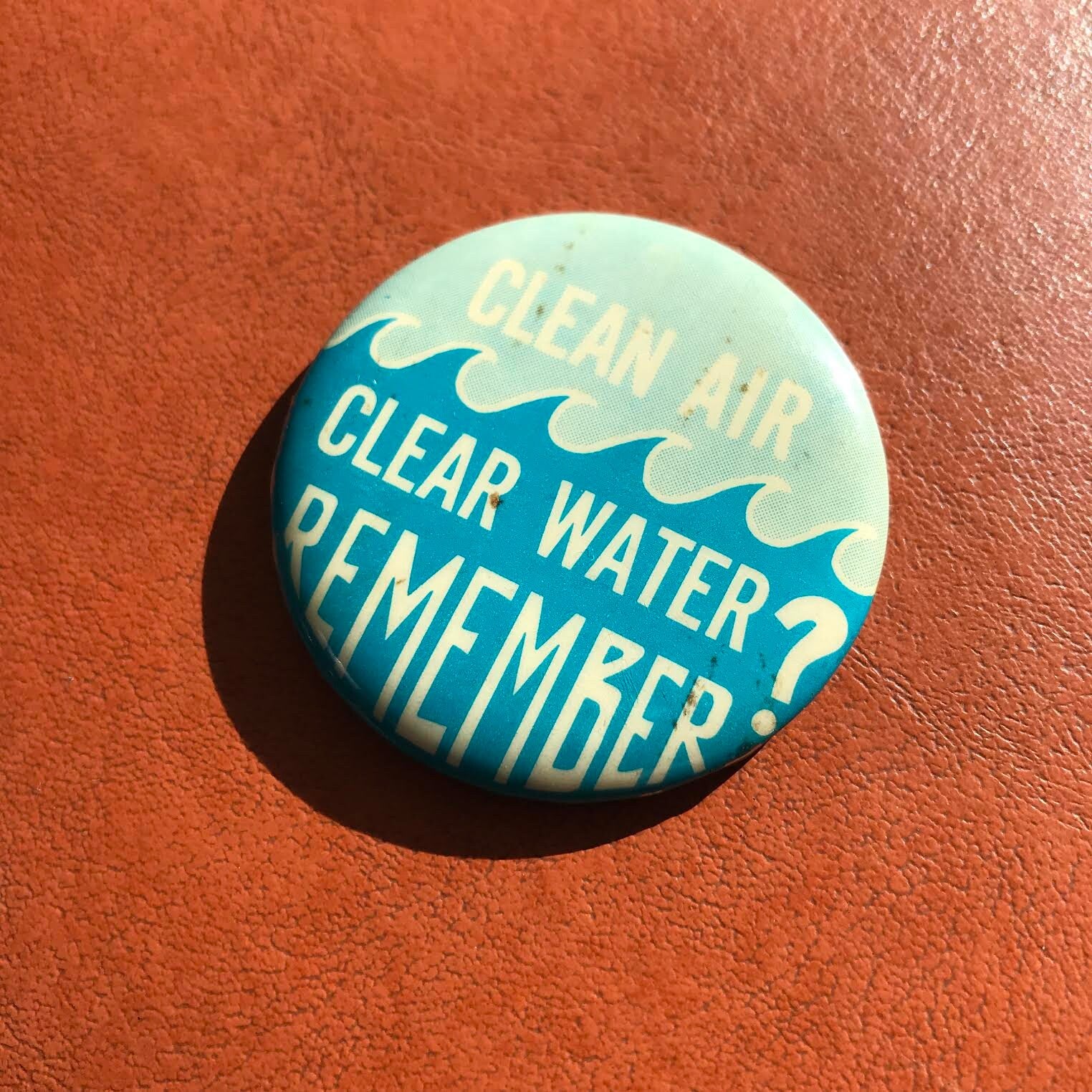 Vintage "Clean Air Clean Water, Remember?" Pinback Button